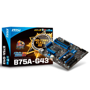 Msi Placa Base B75a-g43 Intel  1155  B75